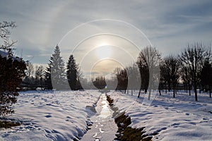 Beautiful winter photo of snow-covered Brukenthal Park in Avrig and halo around the Sun, Romania