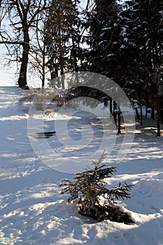 Beautiful winter photo of snow-covered Brukenthal Park at sunset in Avrig, Romania