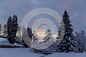 Beautiful winter photo of snow-covered evening Brukenthal Park in Avrig, Romania