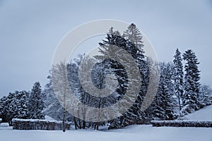 Beautiful winter photo of snow-covered evening Brukenthal Park in Avrig, Romania