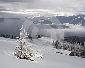 Schön Fotos hölzern Hütte berg 