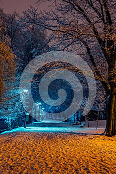 Beautiful winter scene of an alley in the park covered in snow