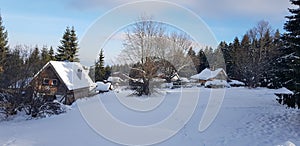 Beautiful winter scene whit snow and trees.
