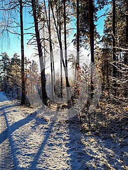 Beautiful winter scenery in the city of snowy forest after heavy snowfall