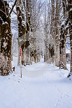 Beautiful winter scenery in the german alps at Oberstdorf, Allgaeu, Bavaria, Germany