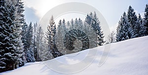 Beautiful winter scenery in the german alps at Oberstdorf, Allgaeu, Bavaria, Germany