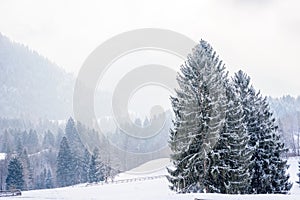 Beautiful winter scenery in the german alps at Oberstdorf, Allgaeu, Bavaria, Germany