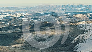 Beautiful winter scenery of mountain with pine forest covered in snow. Panning shot