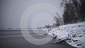 Beautiful winter sea shore with snow. Clip. Beach with sticks and trees on snowy winter day. Beautiful snow-covered lake