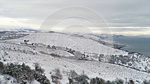 Beautiful winter seascape with snowy fields, forest and blue sea on grey, cloudy sky background. Shot. Aerial for winter