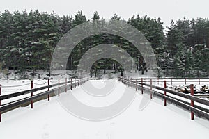 Beautiful winter snow scene, snow-covered road, forest, snowfall and wooden fence