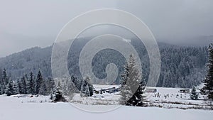 Beautiful winter snowing scene at Bukovel ski resort in Ukrainian Carpathians. Snowflakes falling from the sky. Snowy fir forest o