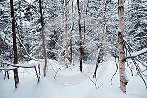 Beautiful winter snowy landscape in the mountainous terrain.