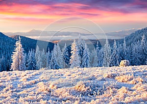 Beautiful winter sunrise in mountains