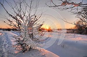 Beautiful winter sunset