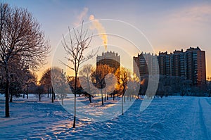 beautiful winter sunset in the city park