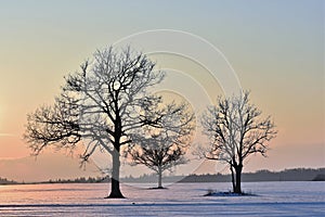 Beautiful winter sunset .Lithuania landscape .