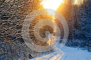 Beautiful winter sunset over curvy road in countryside