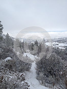 beautiful winter trail near the outskirts of kamloops