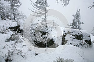 Beautiful winter in a wild area in the Table Mountains in Poland. Snow covered trees at the peak of Skalniak and eroded sandstone