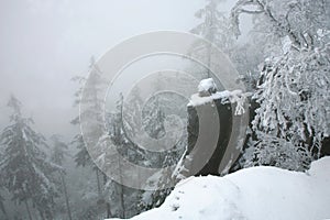 Beautiful winter in a wild area in the Table Mountains in Poland. Snow covered trees at the peak of Skalniak and eroded sandstone