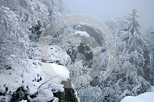 Beautiful winter in a wild area in the Table Mountains in Poland. Snow covered trees at the peak of Skalniak and eroded sandstone