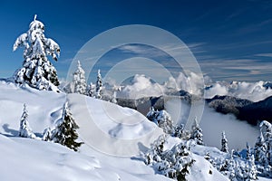 Beautiful wintry landscape with trees covered with fresh snow and mountains on a sunny day.