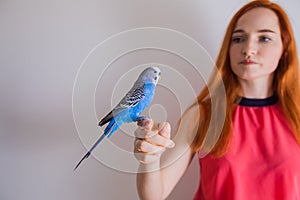 The beautiful woman admires her beautiful parrots