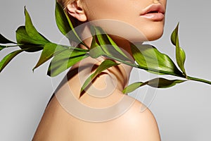 Beautiful woman applies Organic Cosmetic. Spa and Wellness. Model with Clean Skin. Healthcare. Picture with leaf