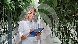 Beautiful woman biology agronomist checking fertilize condition organic cucumber growing greenhouse