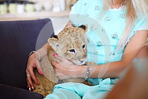 Beautiful woman with bracelet holds calf of lion photo