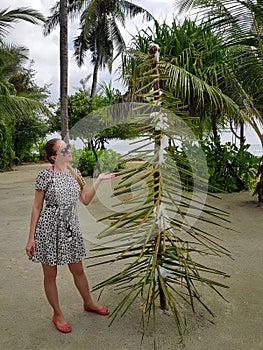 beautiful woman in casual dress and sunglasses near tropical christmas tree on beach with palms. Celebrating new year on island