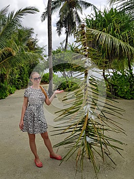 beautiful woman in casual dress and sunglasses near tropical christmas tree on beach with palms. Celebrating new year on island