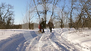 Beautiful woman with children and dog are walking in park on winter sunny Christmas day.