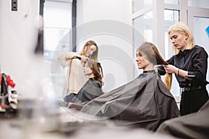 Beautiful woman combing wet hair. stylist brushing woman hair in salon. Hairdresser Serving Customer. Professional Young