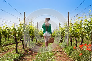 Beautiful woman at a country winery on a summer day. Puglia, Italy