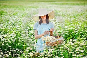 Beautiful woman with dark hair, blue dress and hat outdoors in a chamomile field. Collects flowers in a basket and a bouquet of