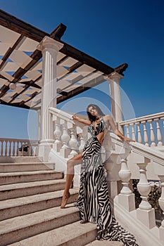 beautiful woman with dark hair in elegnt dress with zebra print posing in beach club