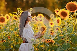 Beautiful woman in a dress in a field of sunflowers