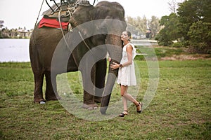 Beautiful woman and elephant
