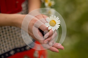 Beautiful woman enjoying daisy field, nice female lying down in meadow of flowers, pretty girl relaxing outdoor, having fun, holdi