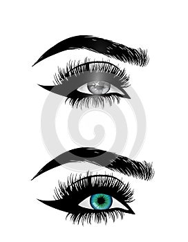 Beautiful woman eyes close-up, thick long eyelashes, black and white vector photo