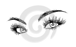 Beautiful Woman Eyes with Eyelash Extensions Sketch