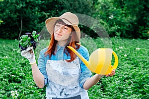 Beautiful woman farmer holds a bunch of basil and watering garden in a straw hat and surrounded by the many plants in her