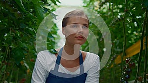 Beautiful woman farmer inspect tomato plantation. Fresh ripe vegeculture grower.