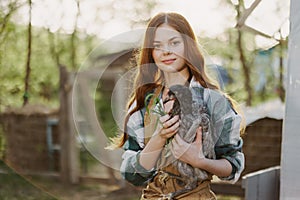 A beautiful woman farmer takes care of the chickens on her farm and holds a gray chicken smiling. The concept of organic