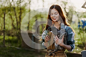 A beautiful woman farmer takes care of the chickens on her farm and holds a gray chicken smiling. The concept of organic