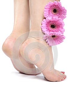Beautiful woman feet with pink flower