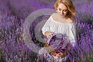 Beautiful woman in a field of blossoming lavender