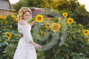 Beautiful woman in a field of sunflowers blooming